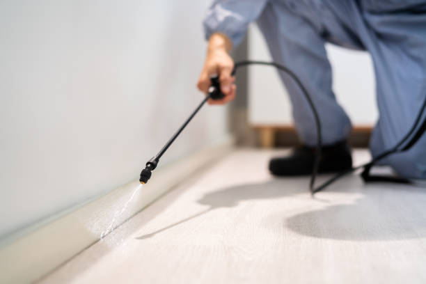 Rodent Entry Point Assessment in Ridgefield