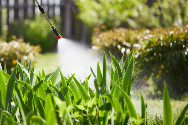 Tamper-Resistant Bait Stations for Rodents in Ridgefield
