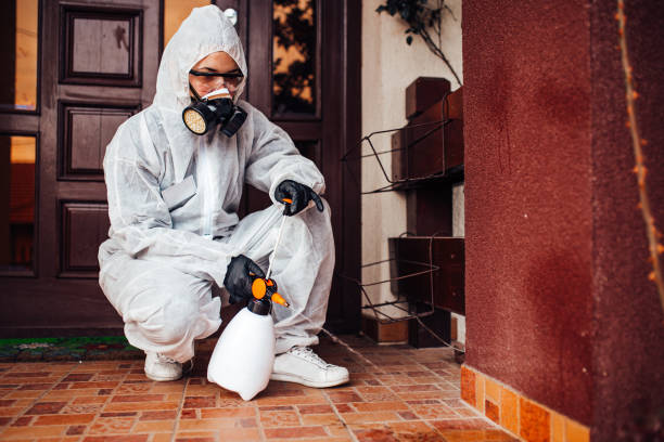 Attic and Crawl Space Rodent Treatment in Ridgefield