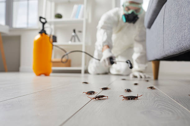 Commercial Rodent Management in Ridgefield